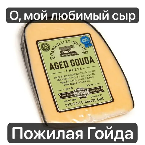 Пожилая Гойда
