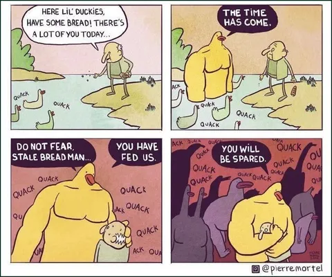 The Time Has Come Ducks