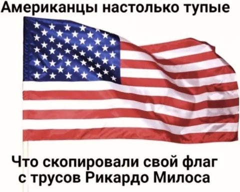 Американцы скопировали свой флаг