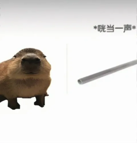 咣当一声后回到猫窝