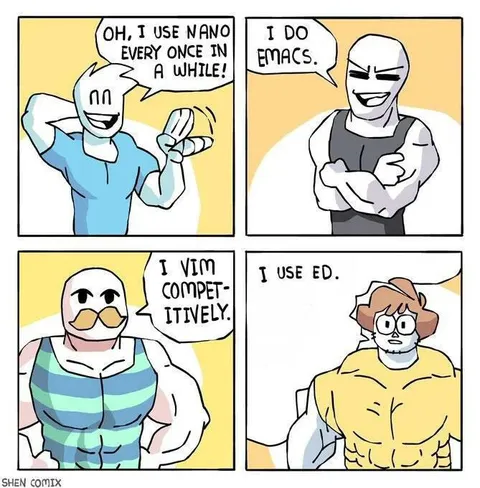 Programmers Reveal Their Editors