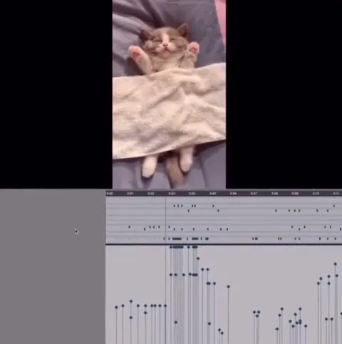 Котёнок играет на барабанах