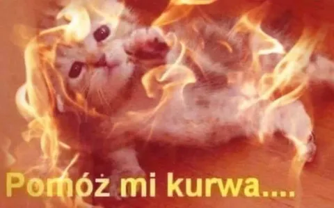 Płonący kot prosi o pomoc