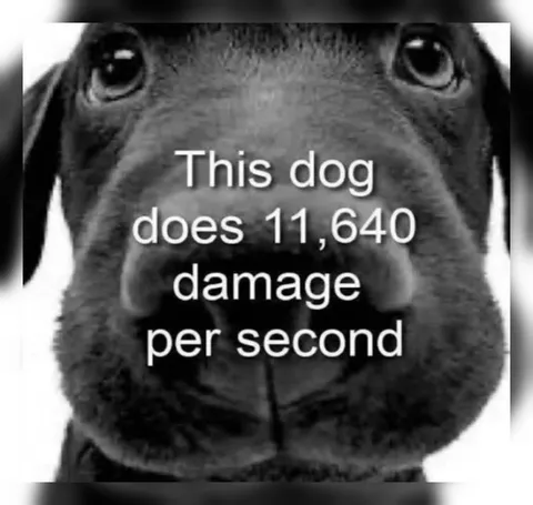 Dog Does 11,640 Damage