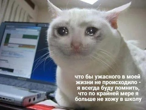 Больше не хожу в школу