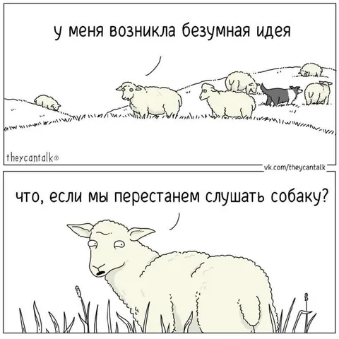 Перестанем слушать собаку