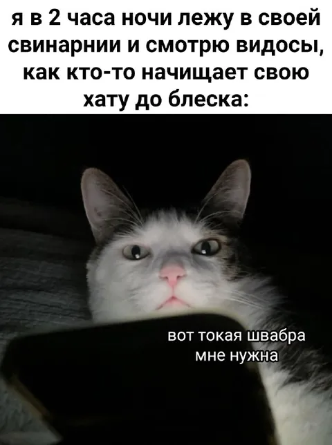 Кот ищет такую швабру