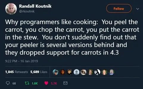Programmers Like Cooking