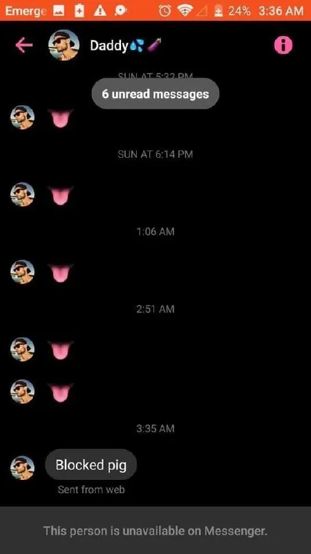 Blocked Pig on Messenger