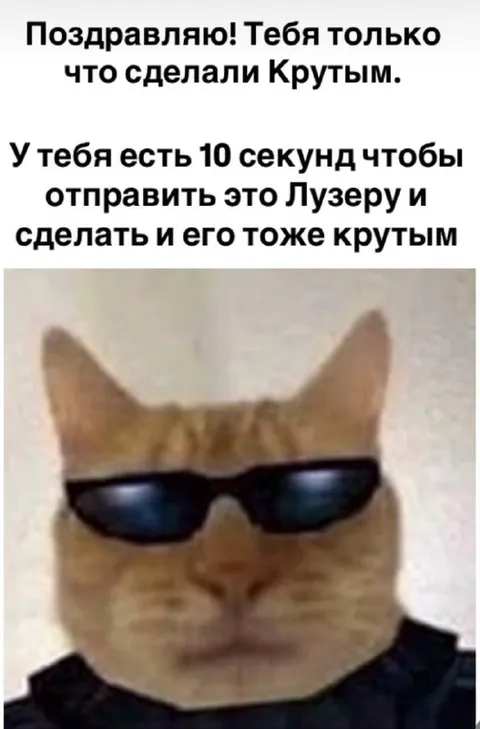 Крутой кот поздравляет лузера