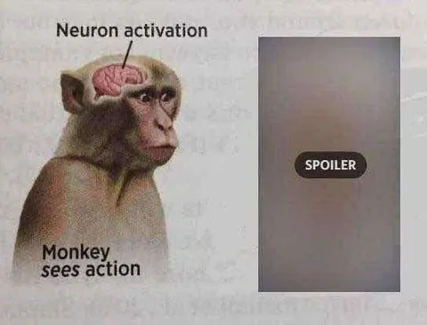 Monkey Sees Action