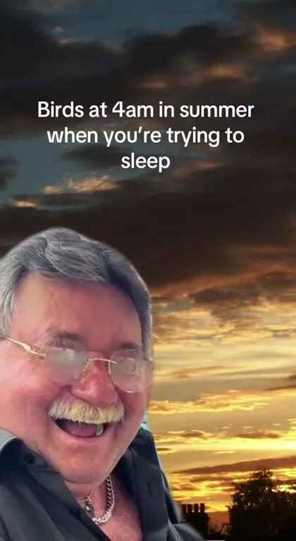 Birds at 4am Keeping You Awake