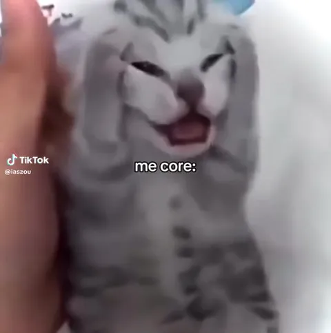 Кошачья сущность под Call Me Maybe