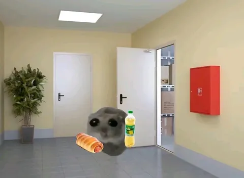 Sad cat waiting in the hallway
