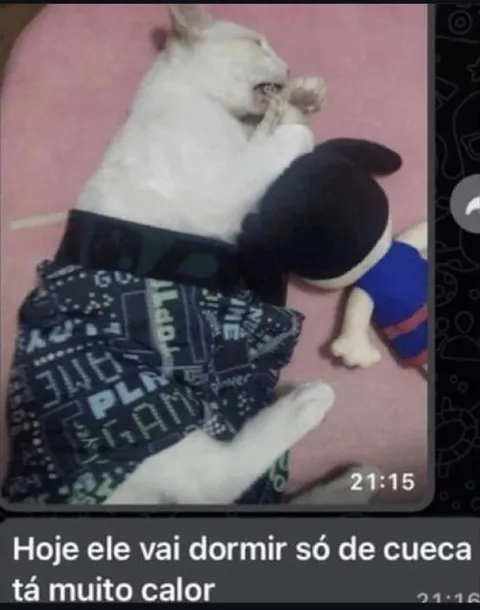 Hoje ele vai dormir só de cueca