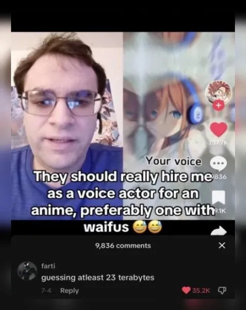 Voice Actor Wants Anime Waifus
