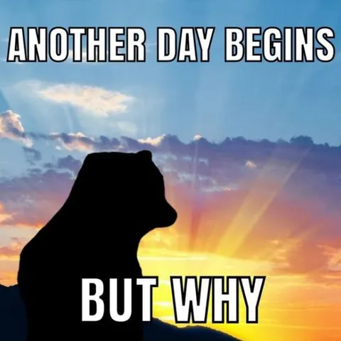 Another Day Begins But Why