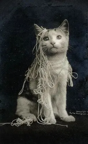 Кот, запутавшийся в нитках