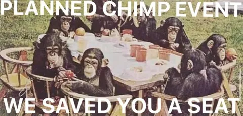 Planned Chimp Event