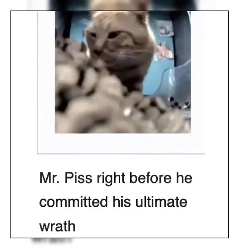 Mr. Piss Ultimate Wrath