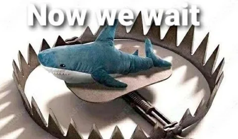 Now We Wait Shark Trap