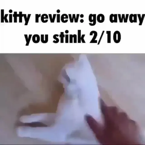 Kitty Review Go Away