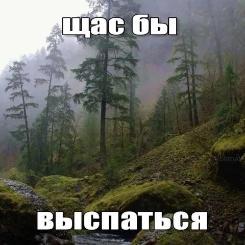 Щас бы выспаться в лесу