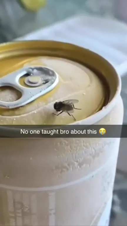 Fly Learns to Open a Can