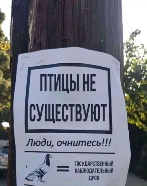 Птицы не существуют