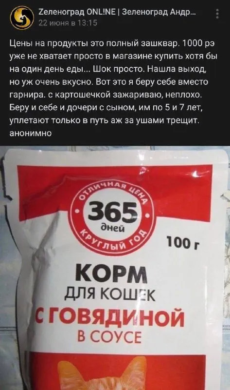 Корм для кошек вместо гарнира