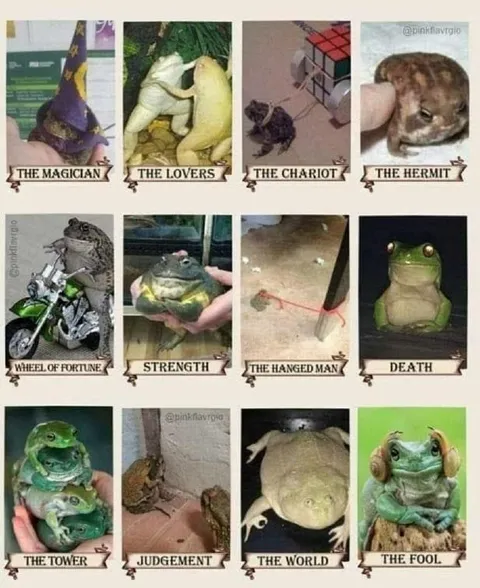 Frog Tarot Card Reading