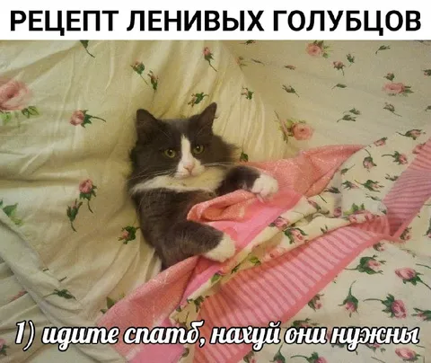 Рецепт ленивых голубцов от кота