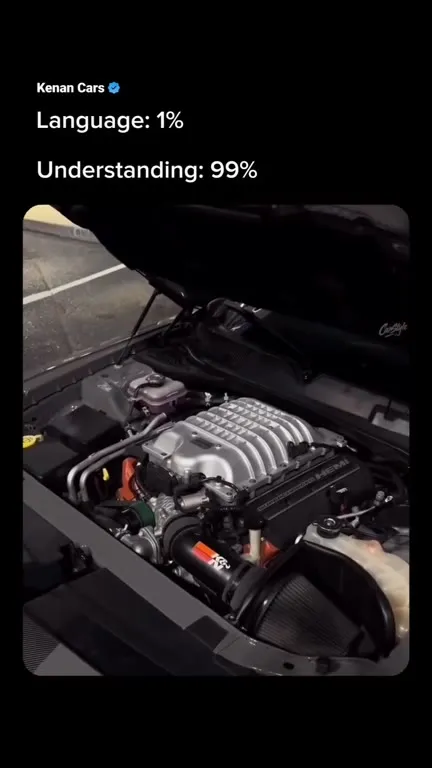Language 1%, Car Understanding 99%