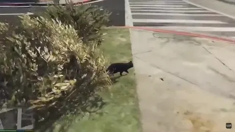 Горящий кот в GTA V
