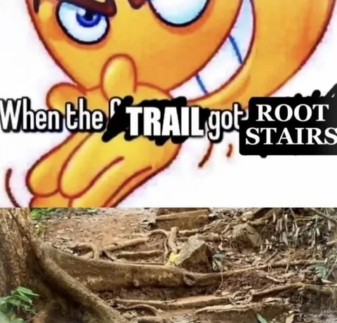 When the Trail Got Root Stairs