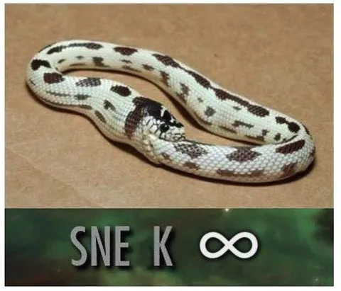 Snake Missing the A