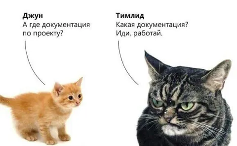 Джун и тимлид