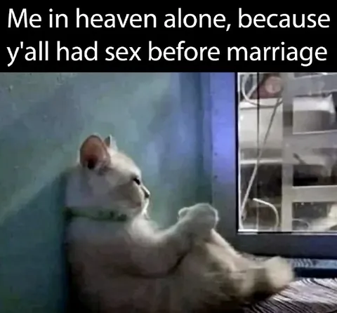 Cat Alone in Heaven