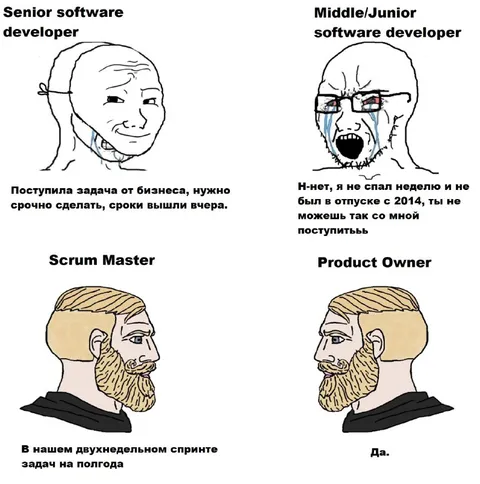 Senior developer и двухнедельный спринт