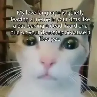 Quietly Leaving Weird Love Gifts