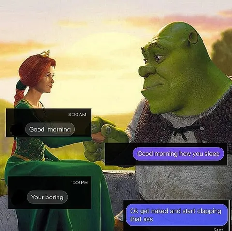Shrek's Morning Texts Go Wrong
