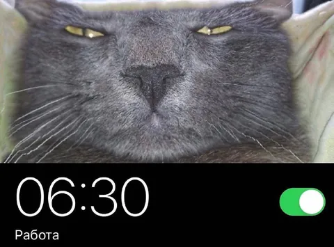 Когда пора на работу