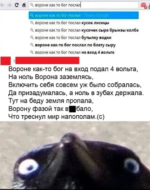 Вороне фазой в ебало