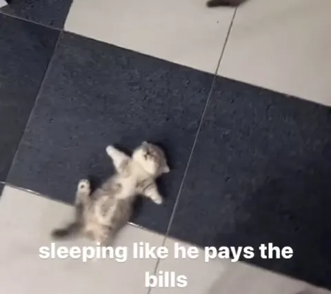 Sleeping Like He Pays the Bills