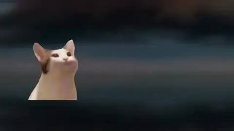Кот поёт в царстве гор