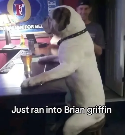 Just Ran Into Brian Griffin