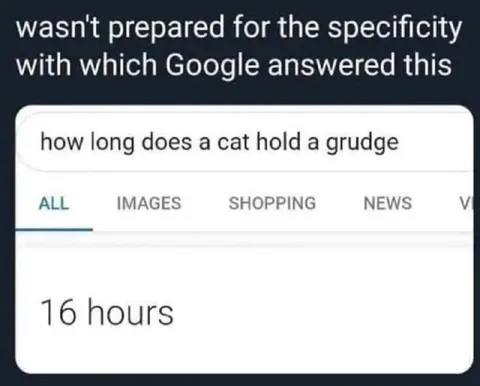 Cat Holds a Grudge for 16 Hours