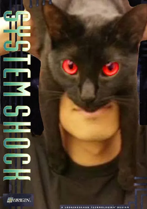 Custom Shop Cat Face