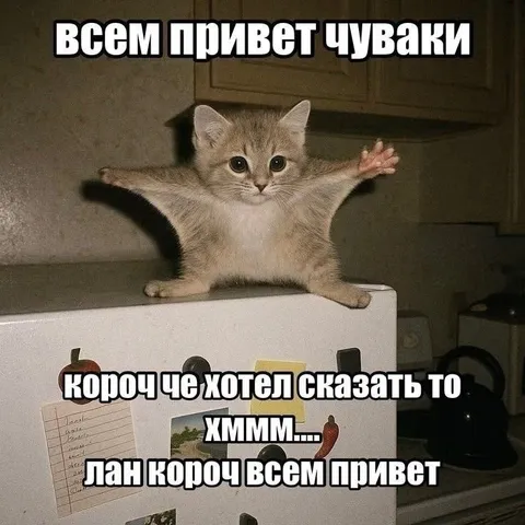 Кот передумал говорить