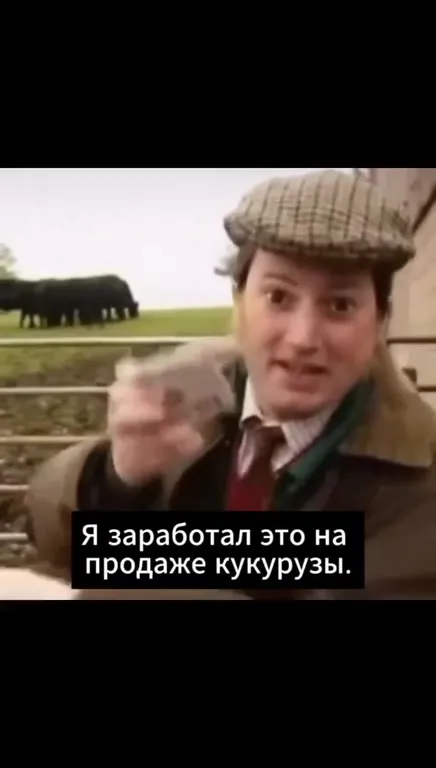 Как заработать на продаже кукурузы